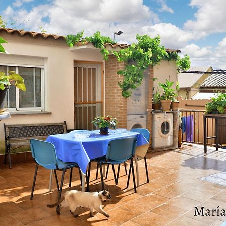 Comfortable Apartment In Caceres 55 M² Welcoming Terrace 外观 照片
