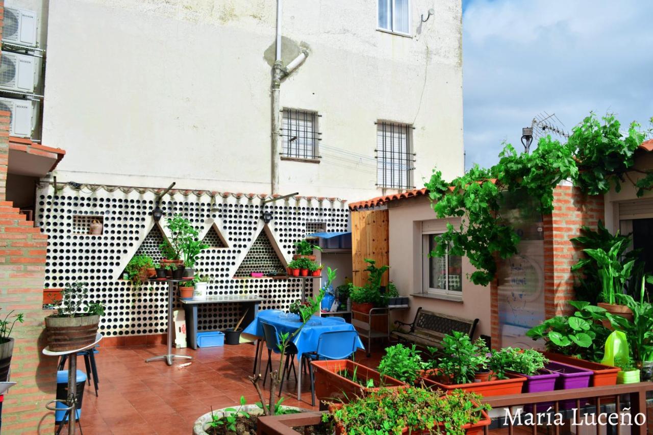 Comfortable Apartment In Caceres 55 M² Welcoming Terrace 外观 照片
