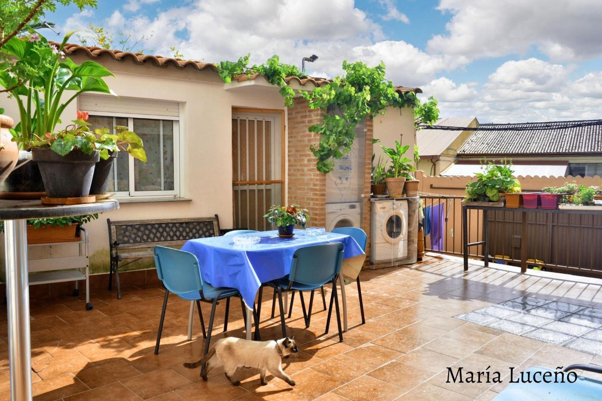 Comfortable Apartment In Caceres 55 M² Welcoming Terrace 外观 照片
